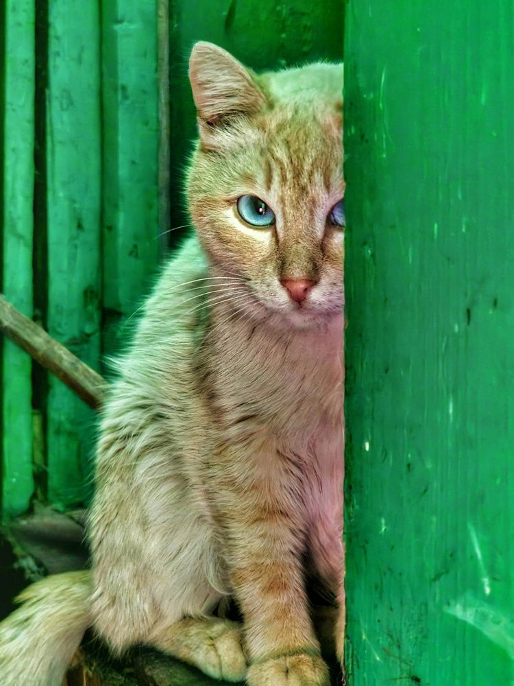 Photograph by Ольга Веселова