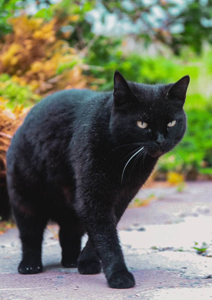 Photograph by Елена Рудкевич