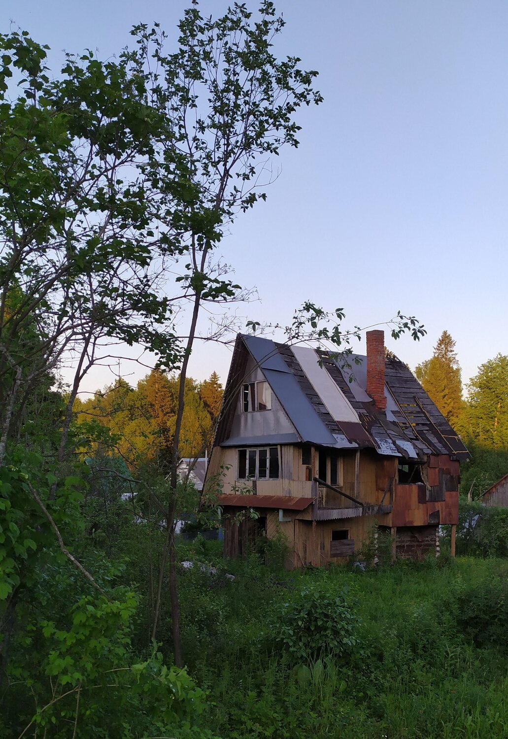 Photo #10721325
