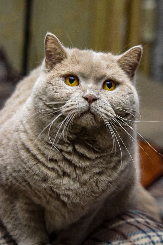 Photograph by Елена Рудкевич