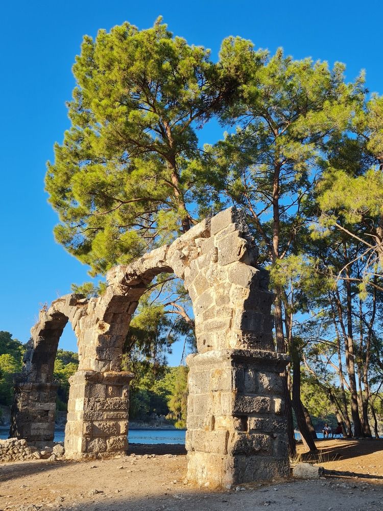 Photograph by Ирина Синягина