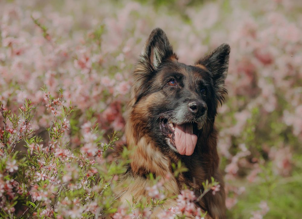 Фотография автора Андрей