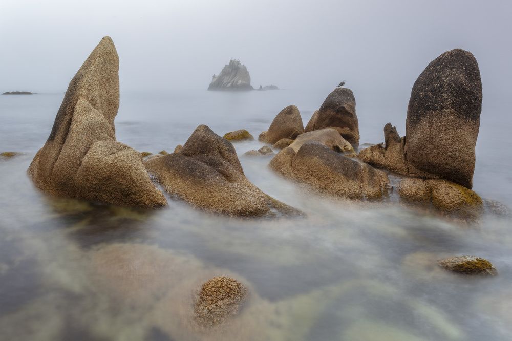 Photograph by ALEKSANDR KUZNETSOV