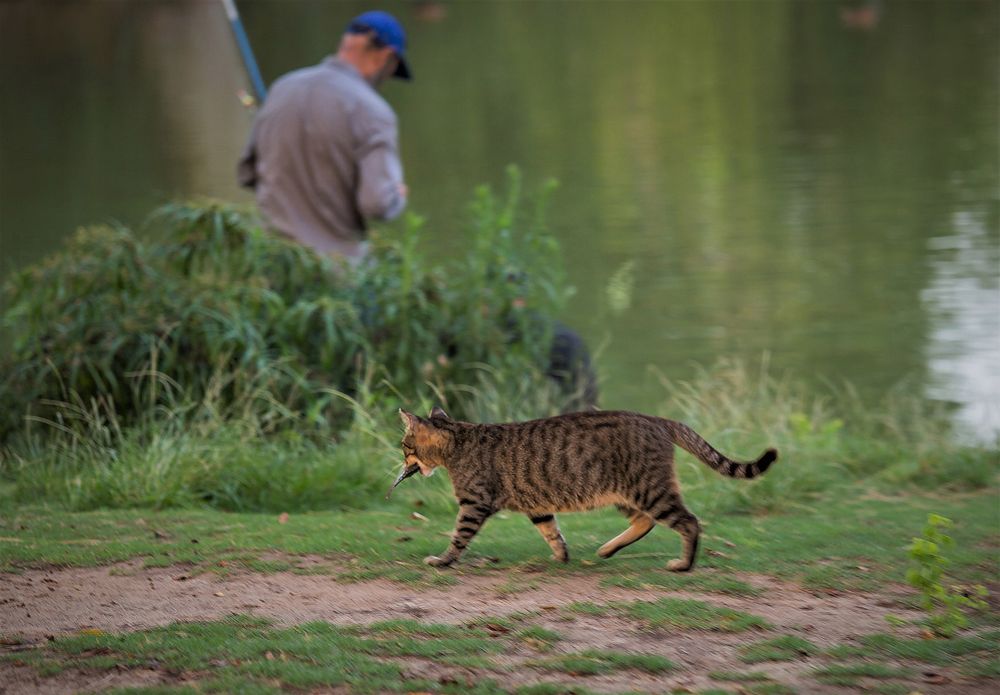 Photograph by Vladimir Sarichev