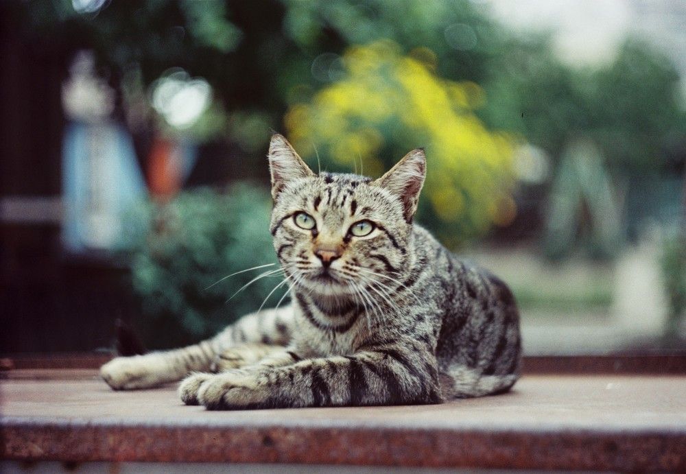 Photograph by Артур Кравченко