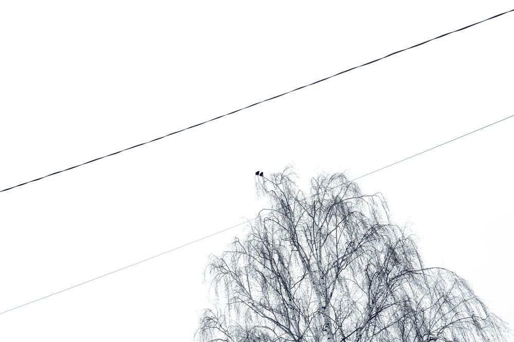 Photograph by Натали Захарова (Тай)