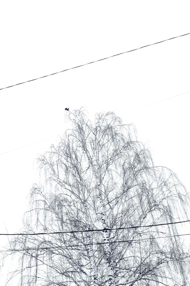 Photograph by Натали Захарова (Тай)