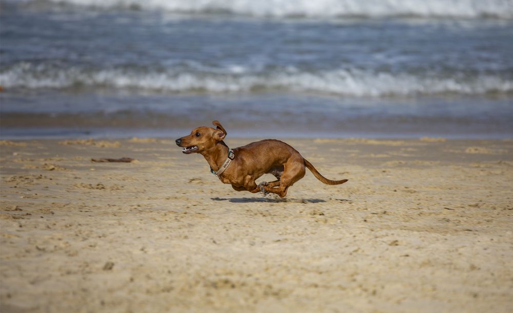 Photograph by Vladimir Sarichev