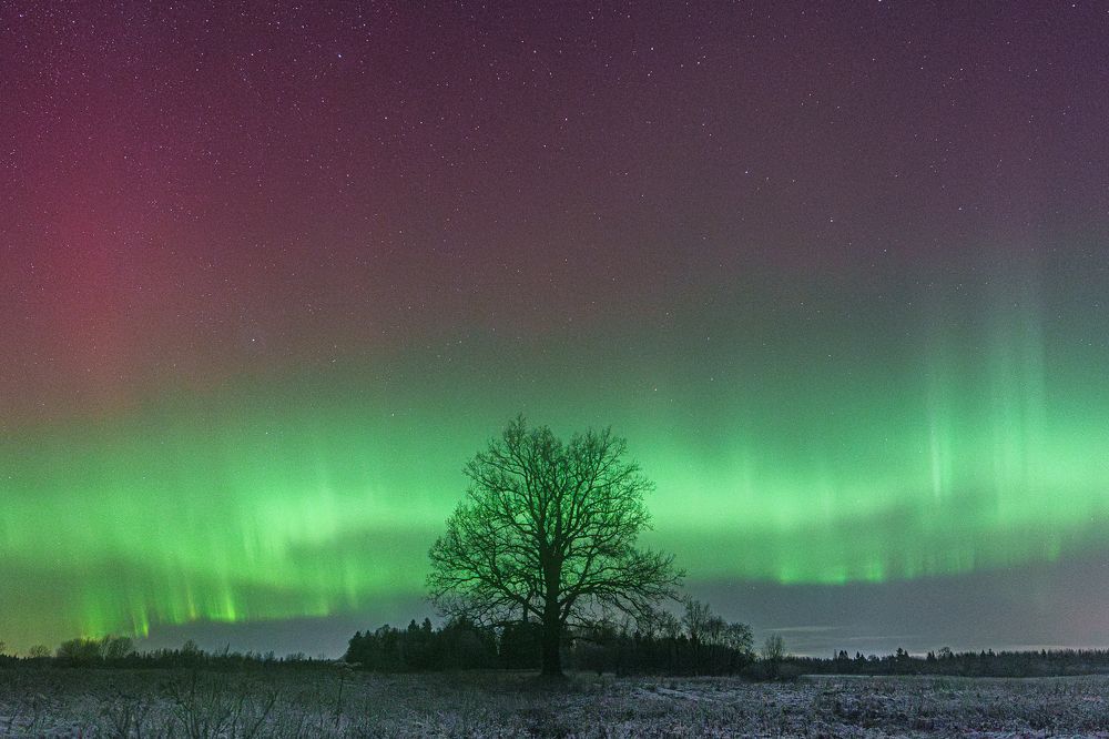 Photograph by Andrew Kuprin