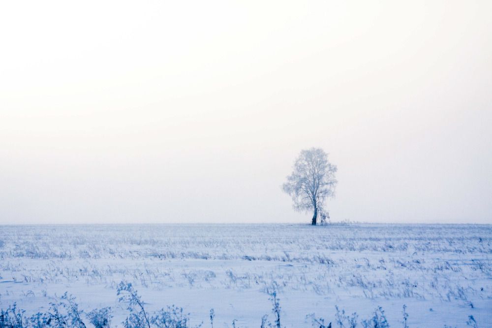 Photograph by Иван Овчинников