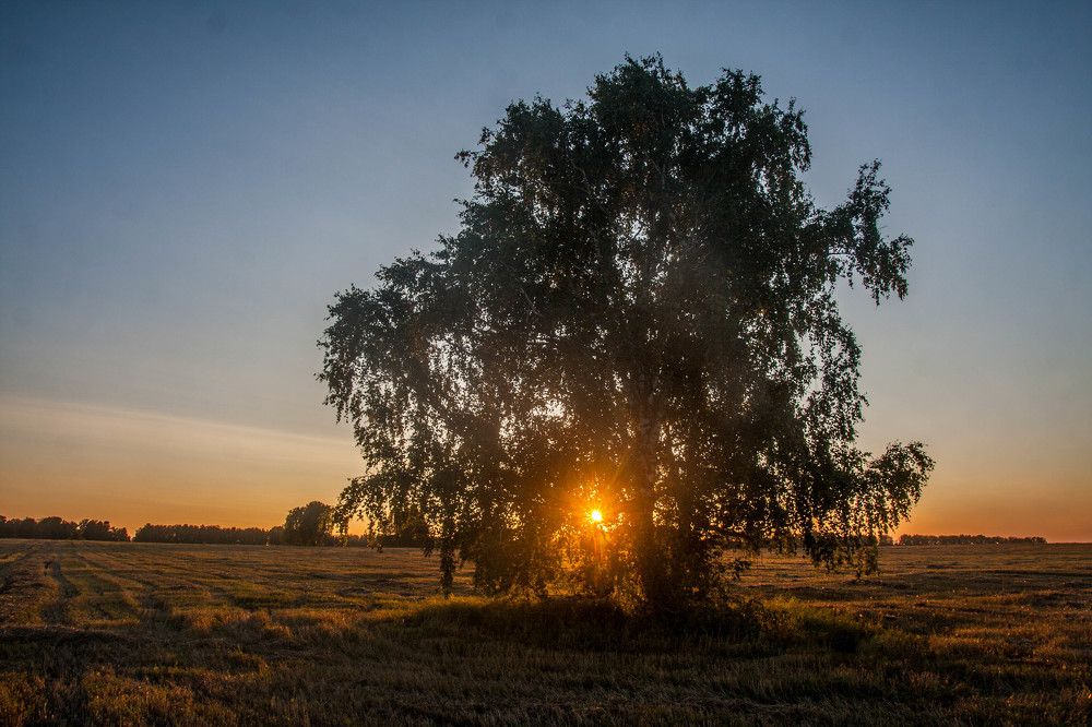 Photograph by Иван Овчинников