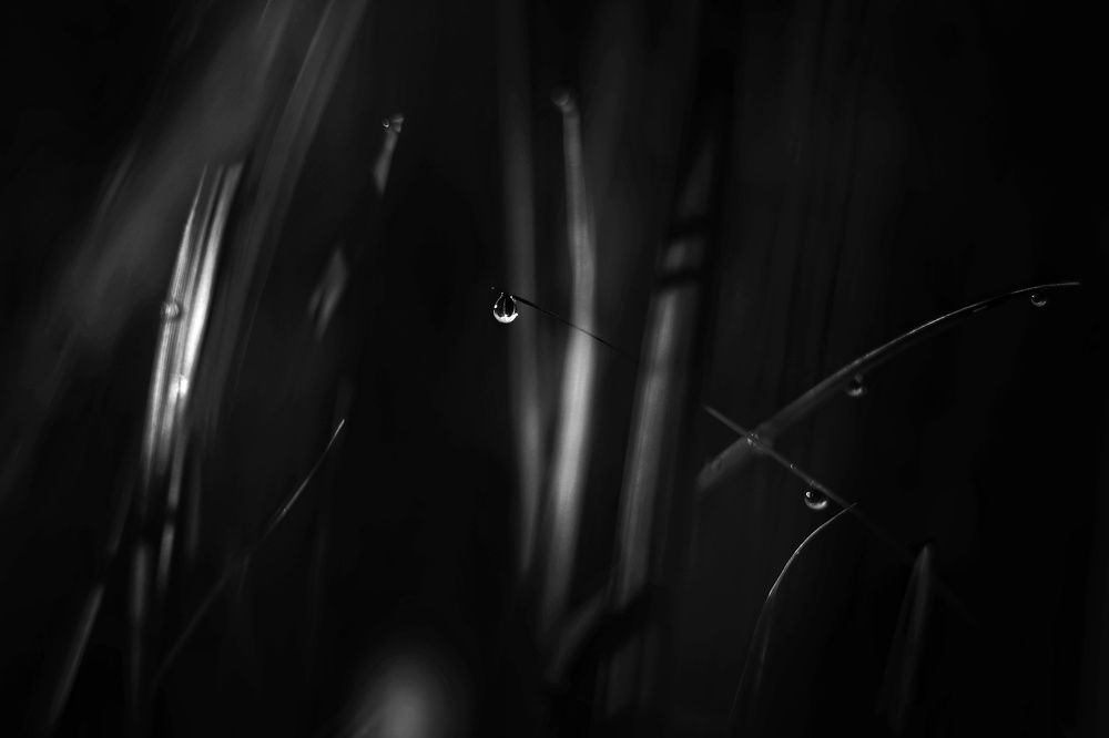 Photograph by Инна Карасева