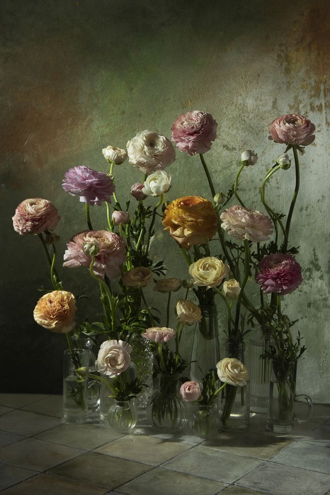 Photograph by Kostomarova Alla