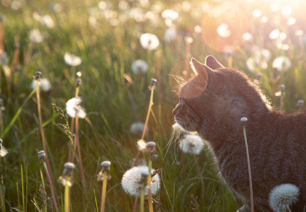 Photograph by Анна Евдокименко
