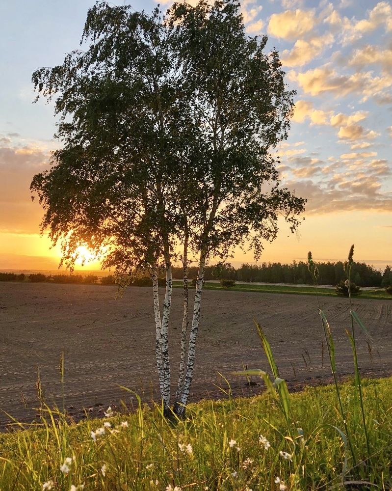 Photograph by Лариса Акинчиц