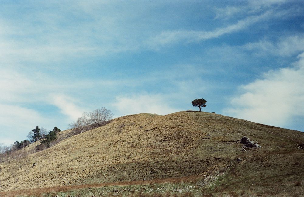 Фотография автора Александр Медведев