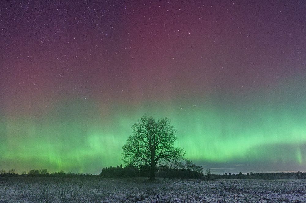 Photograph by Andrew Kuprin