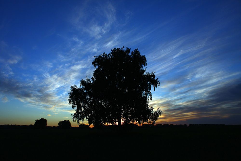 Photograph by Иван Овчинников