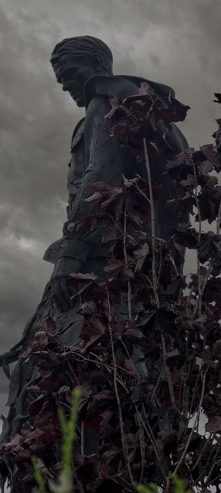 Фотография автора Евгений Андросов