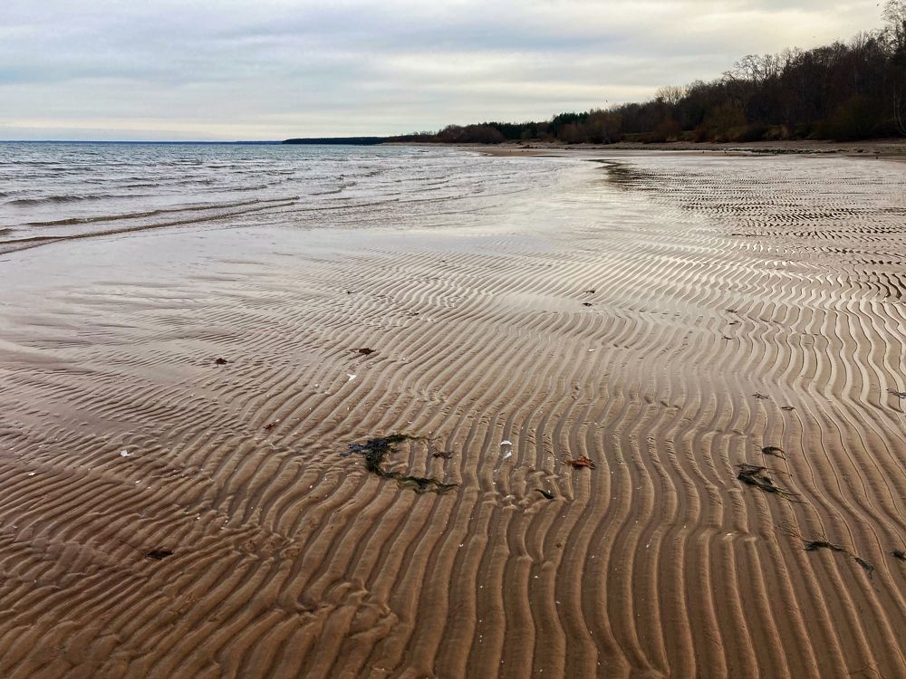 Фотография автора Покровский Антон