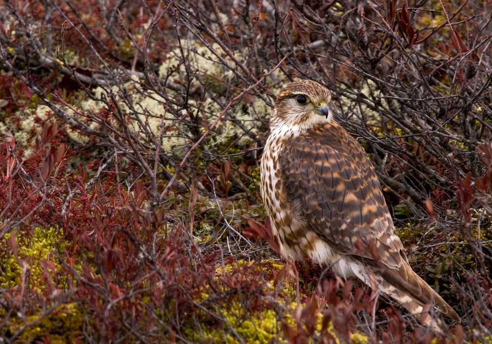 Фотография автора Viktoriya Kim