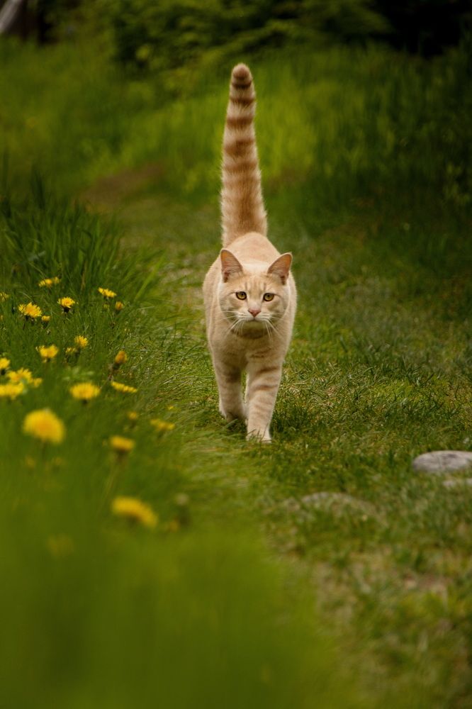 Photograph by Елена Ласун