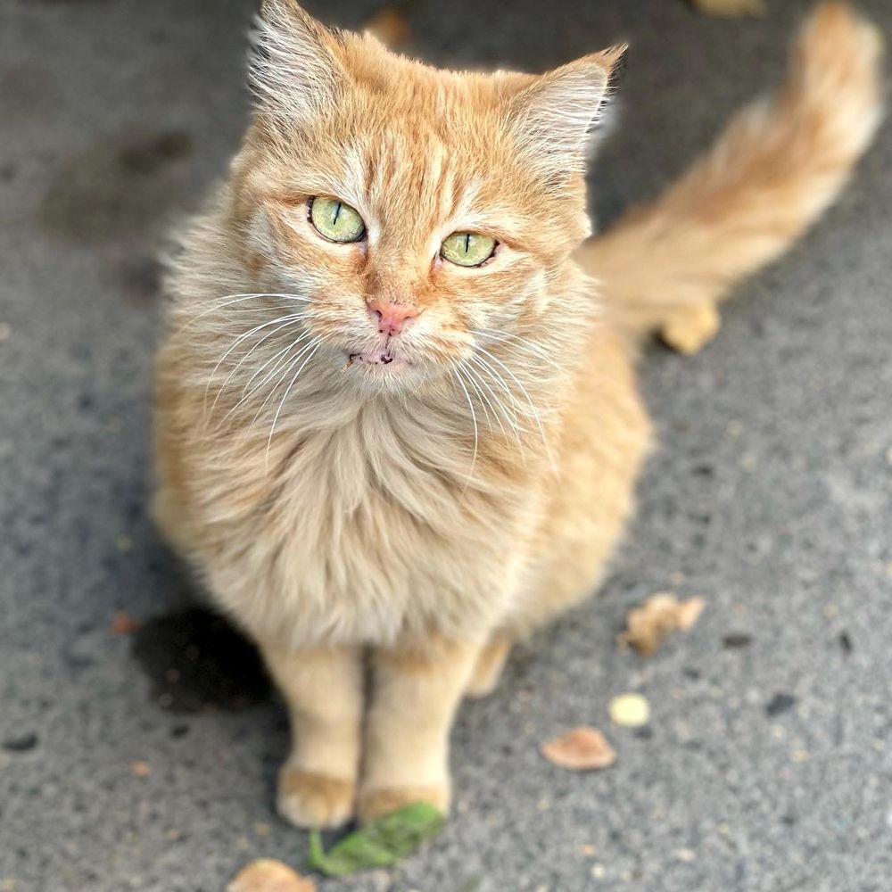 Photograph by Sarah Mirzakazemi