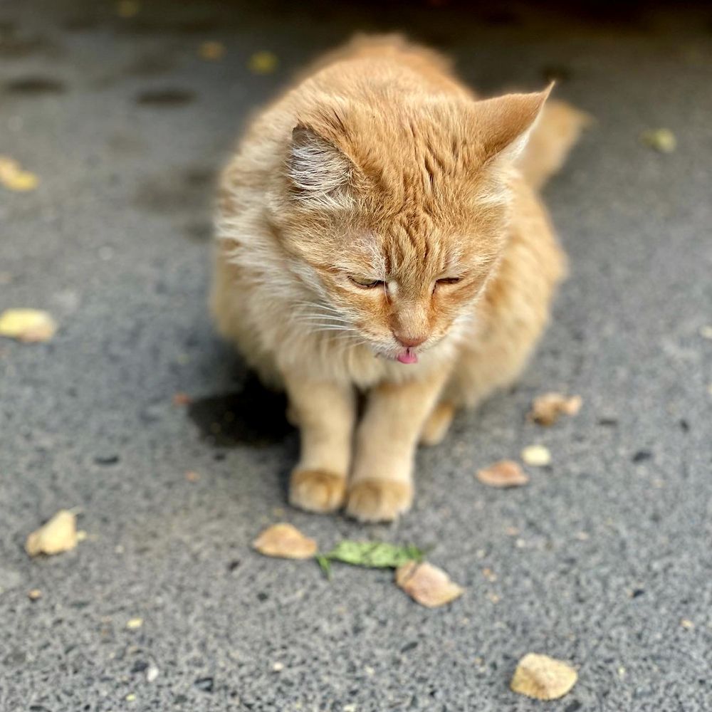 Photograph by Sarah Mirzakazemi