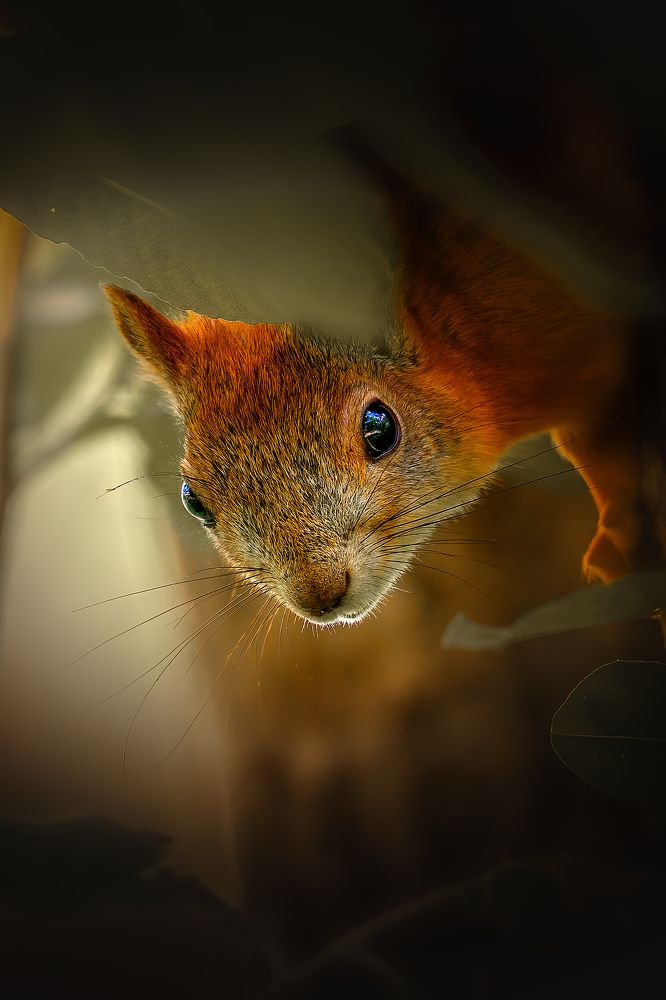 Photograph by Александр Соловьев