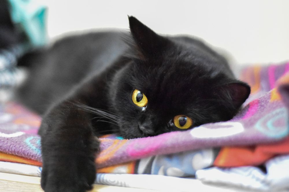 Photograph by Alyona Popova