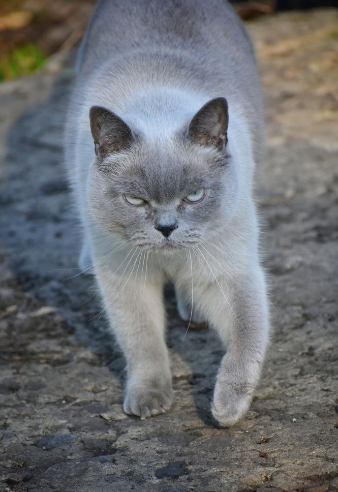 Photograph by Alyona Popova