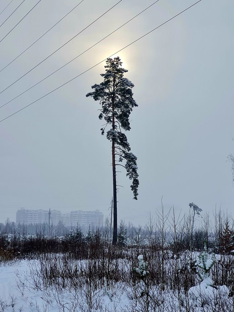 Photograph by Ирина Синягина