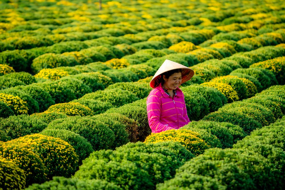 Photograph by Minh Tú Nguyễn