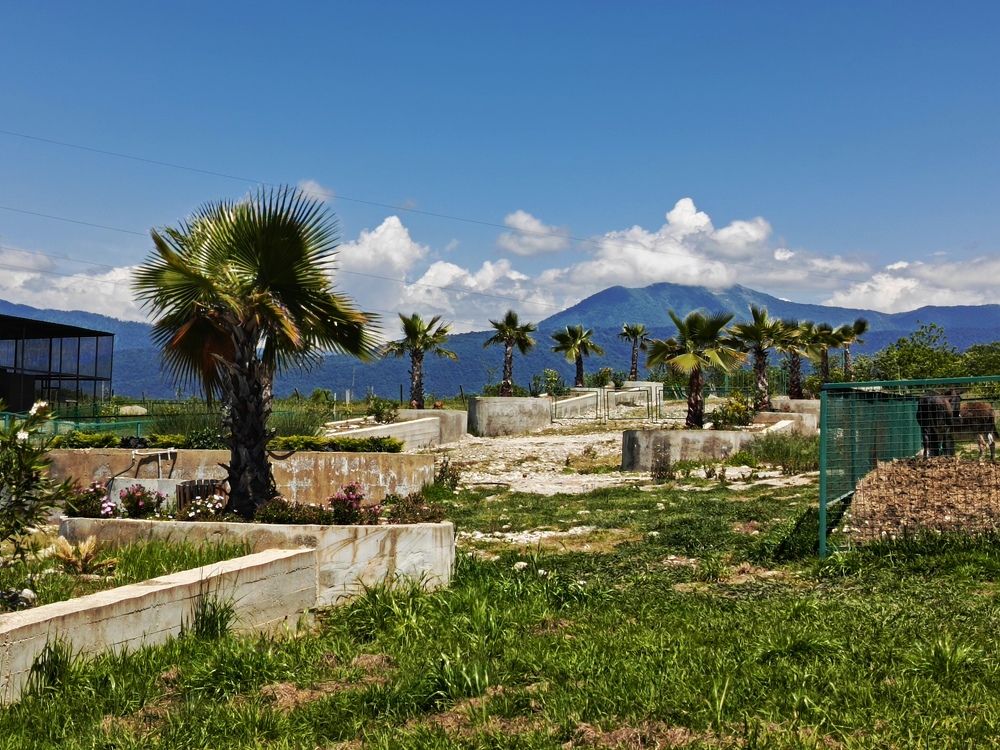 Фотография автора Татьяна Пальчикова