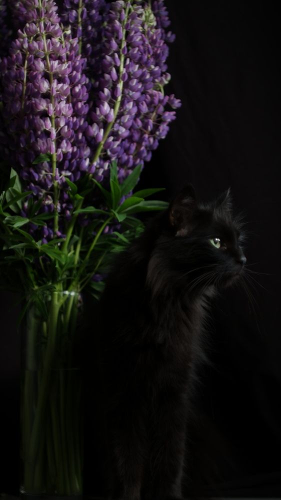 Photograph by Elvira Magsumova