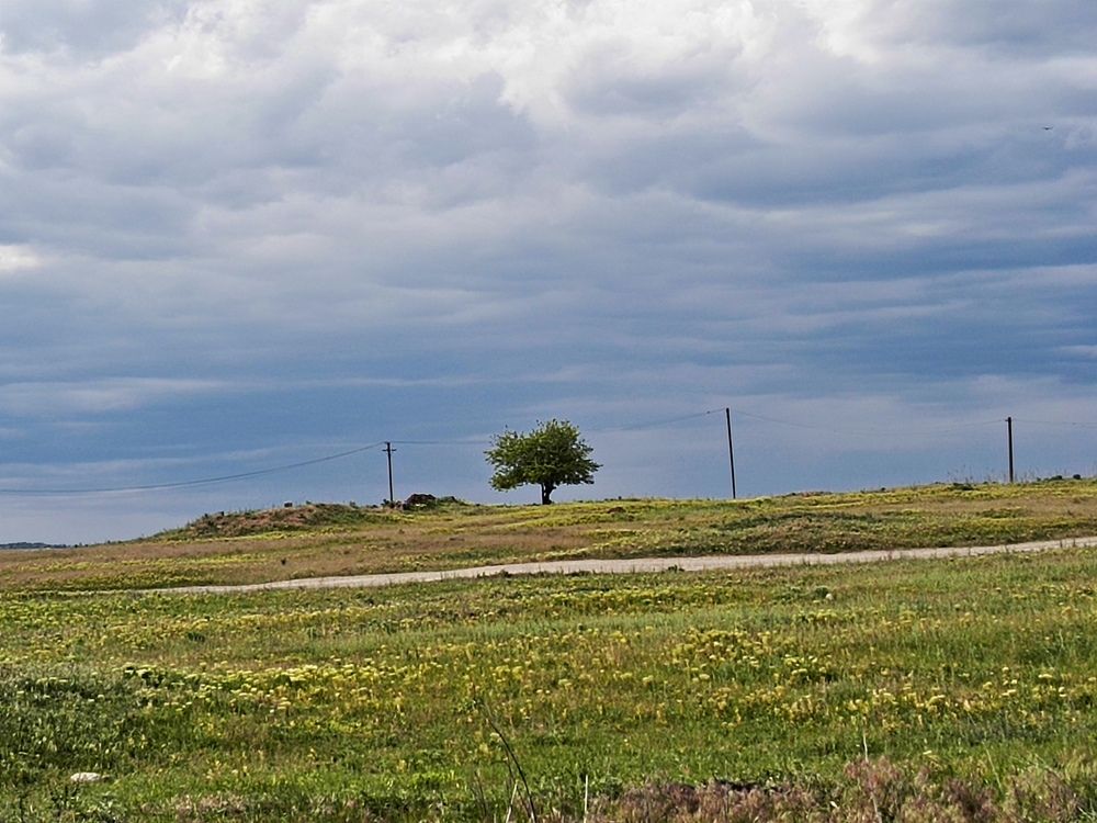 Photograph by Татьяна Пальчикова