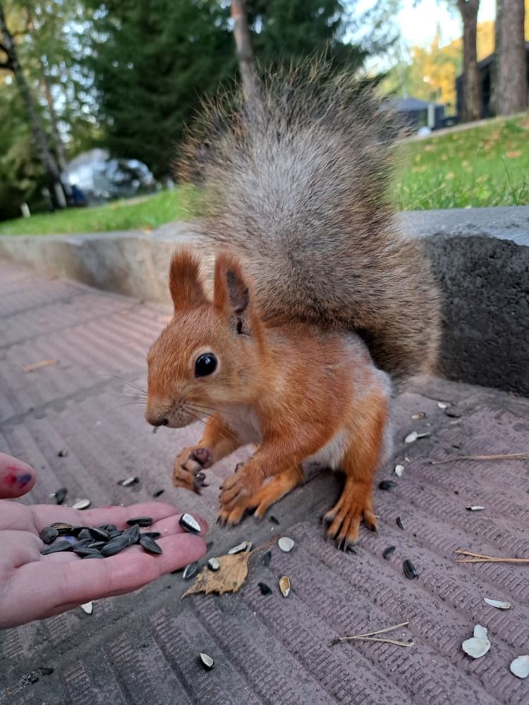 Photograph by Олеся Черкасская