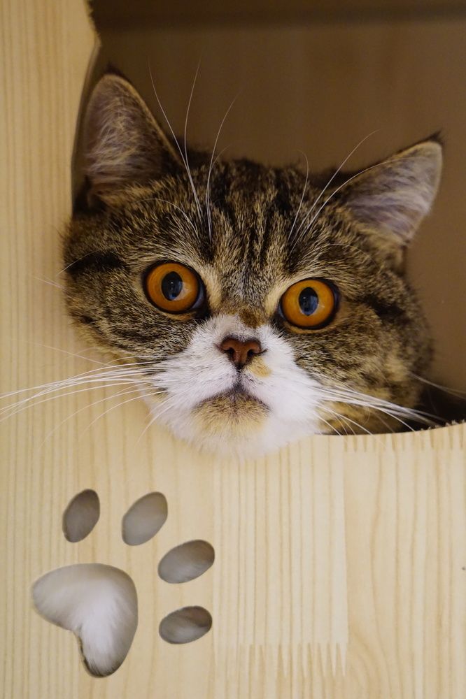 Фотография автора Liudmila Kiermeier