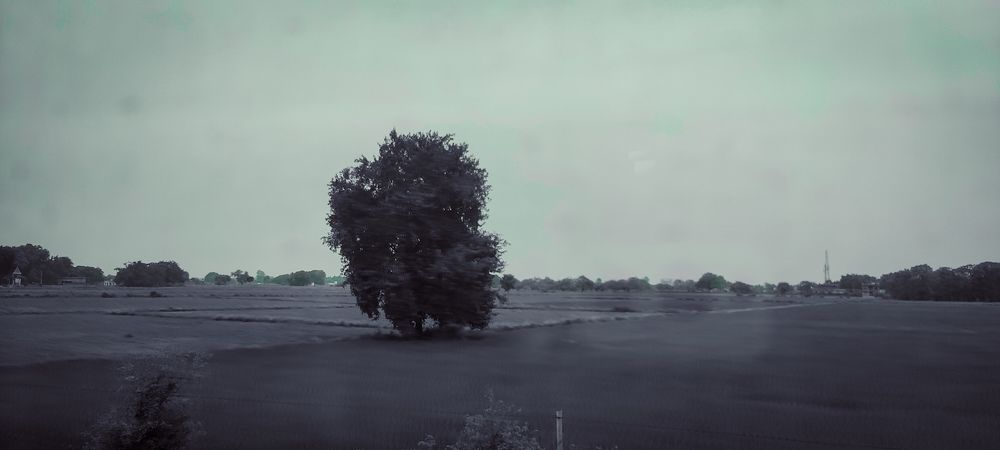 Photograph by AJAY KUMAR