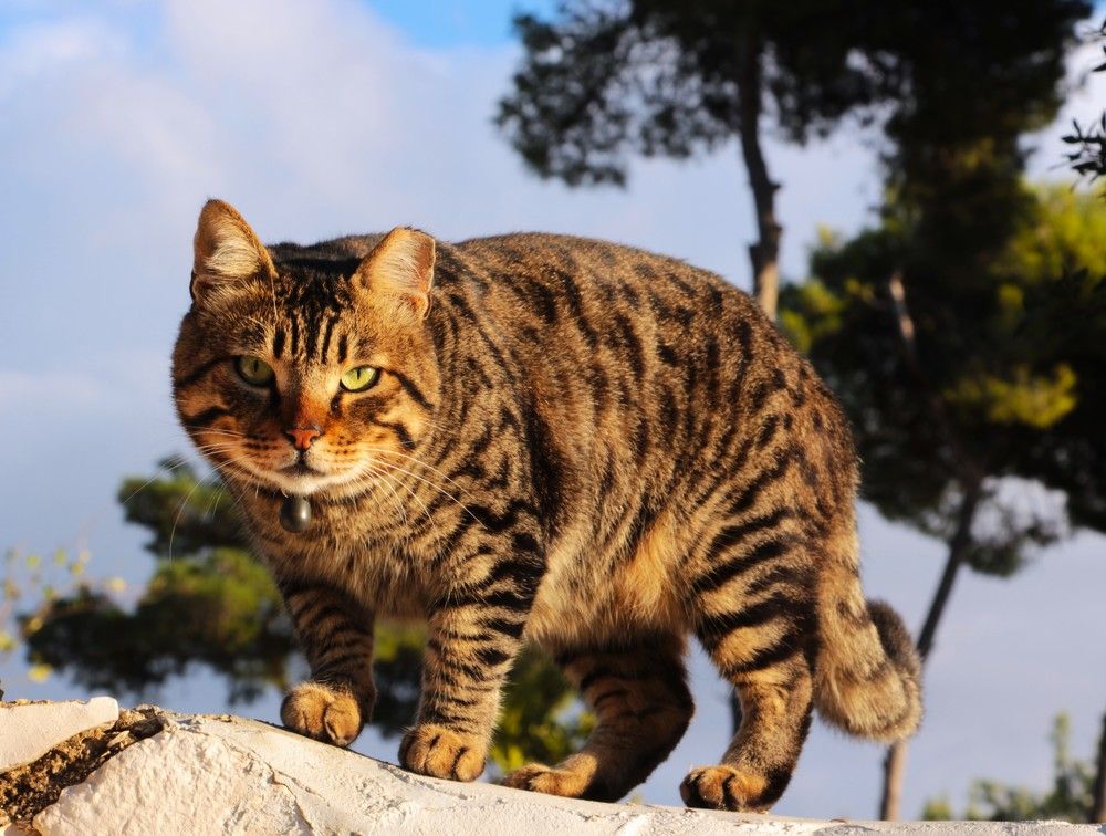 Photograph by Людмила Бутова