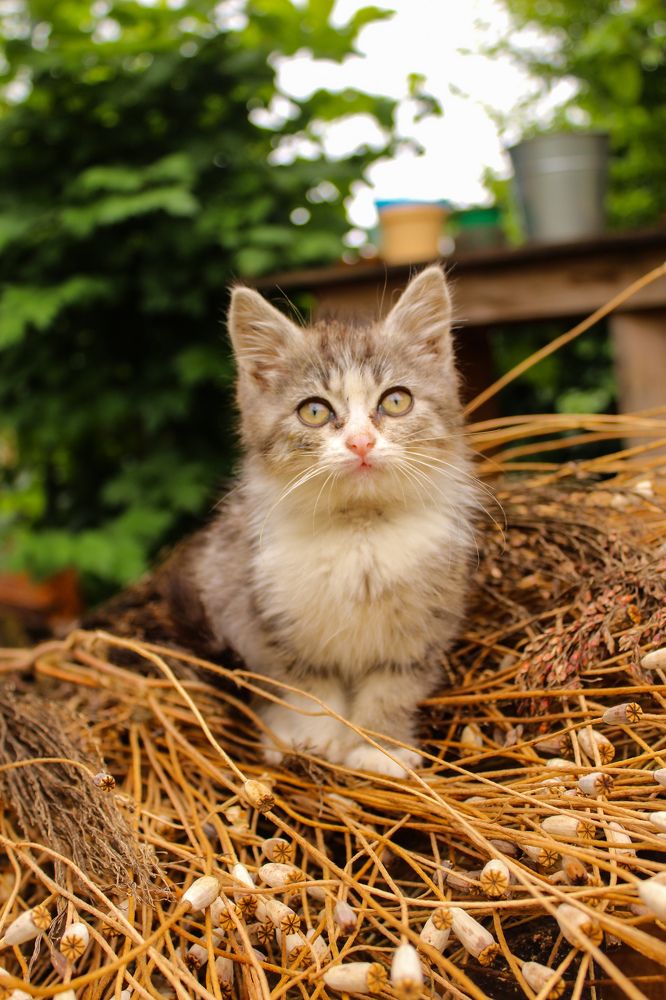 Photograph by Ирина Дмитриенко