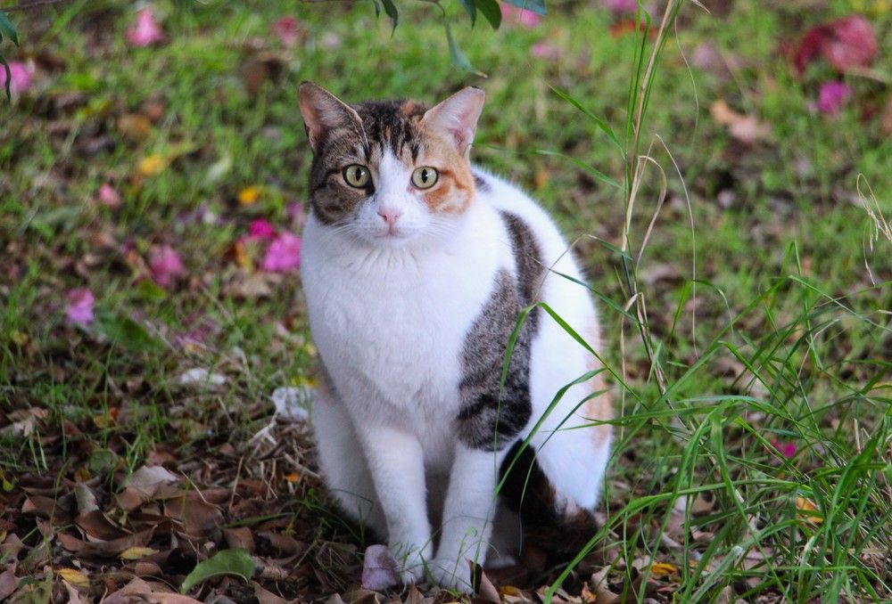 Photograph by Людмила Бутова