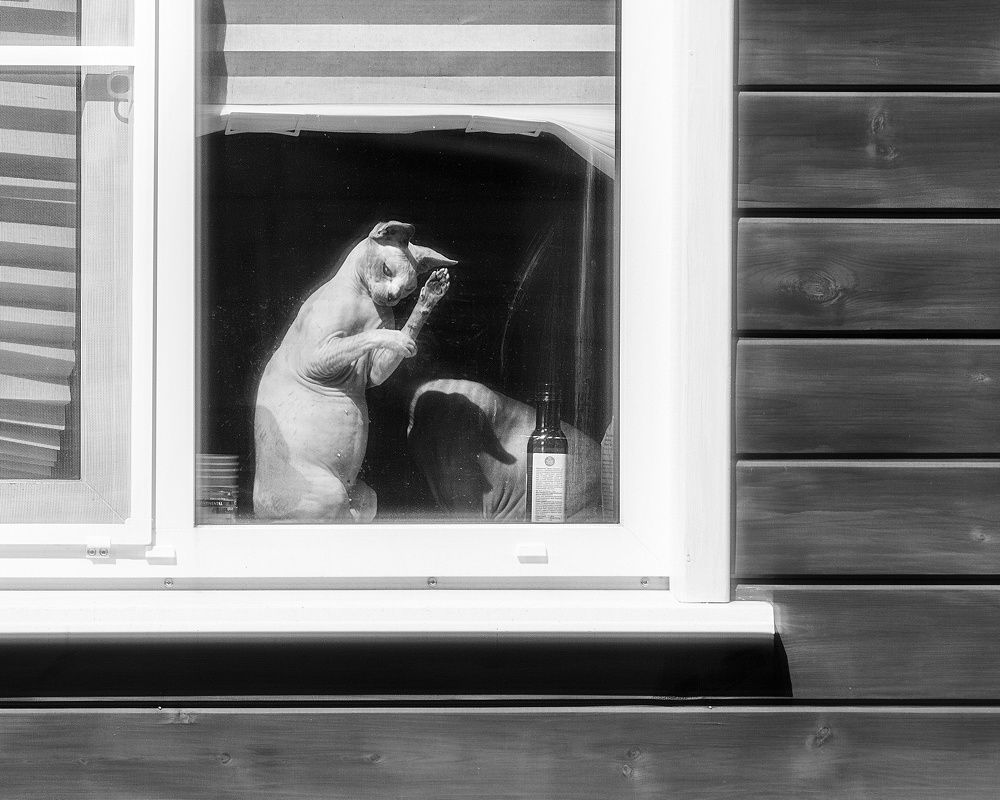 Фотография автора Ольга Лихтарь