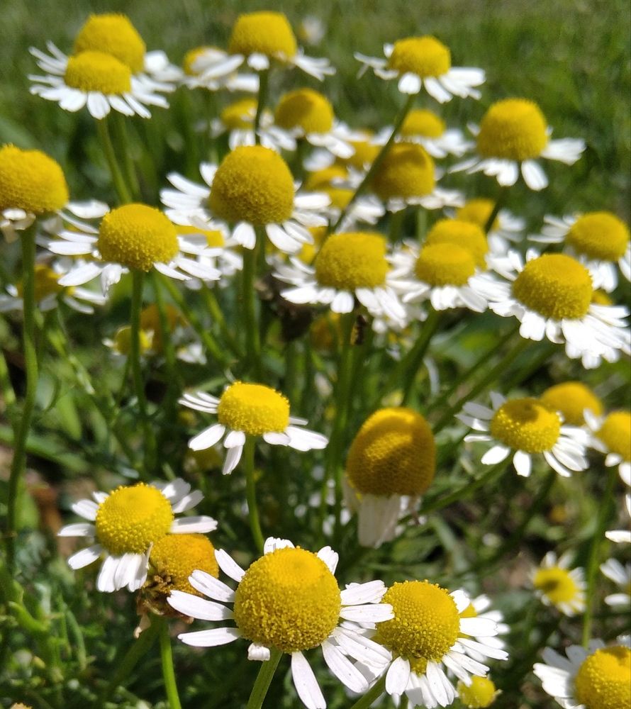 Photograph by Вера Тихомирова