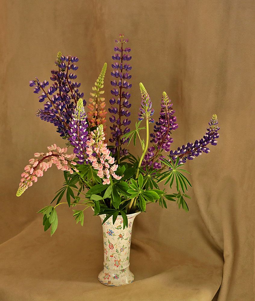 Букет люпинов