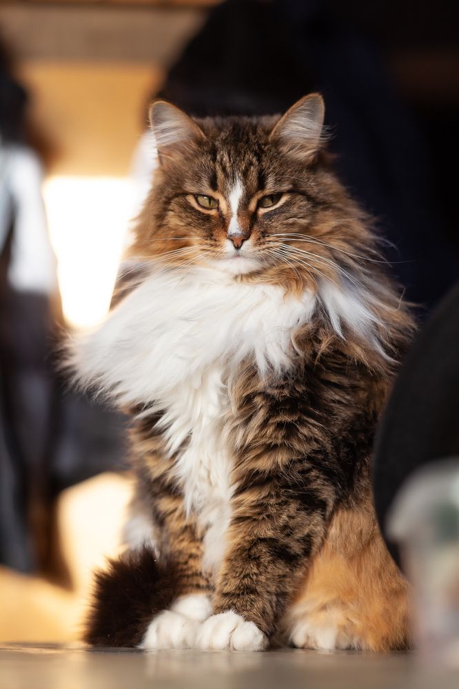 Photograph by Антон Бабичев