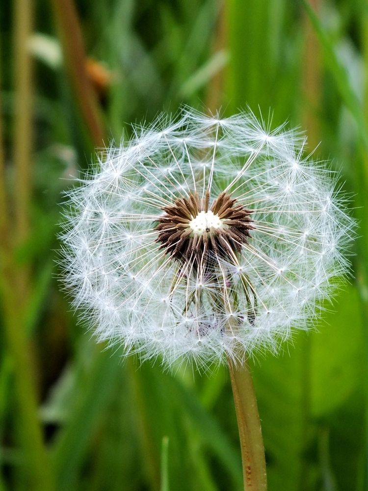 Фотография автора светлана