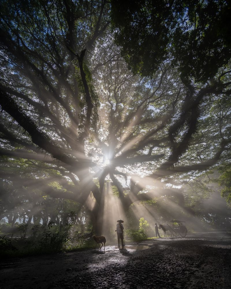 Фотография автора Wahid Hasyim