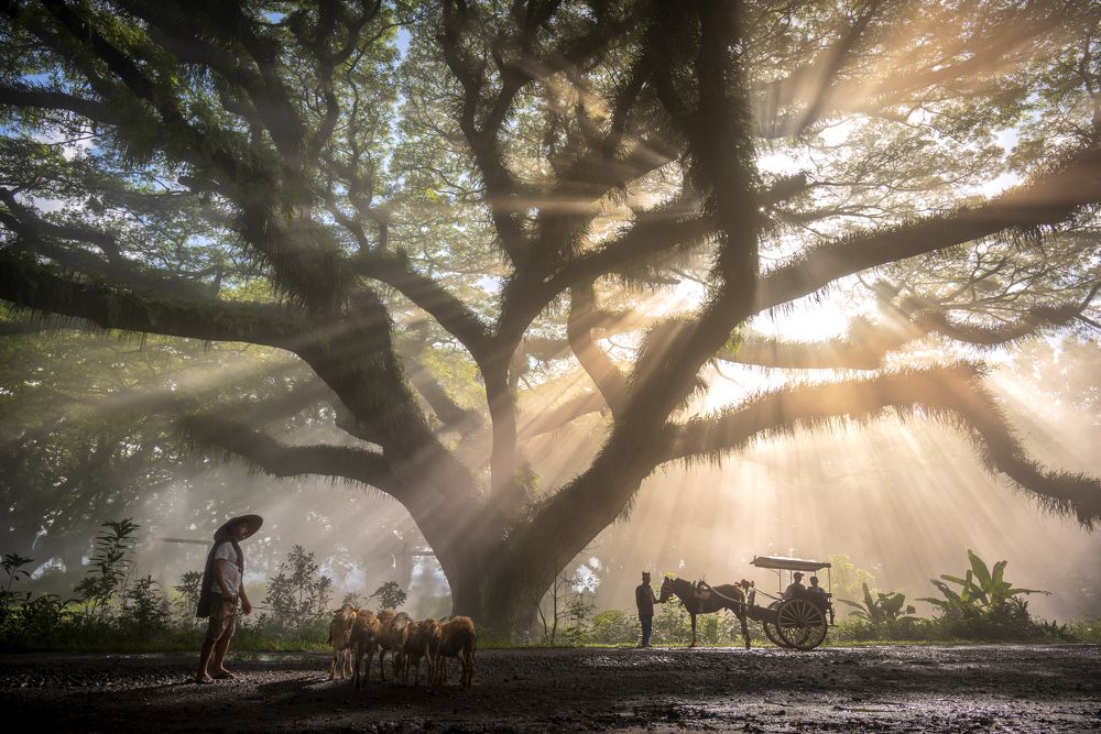 Фотография автора Wahid Hasyim