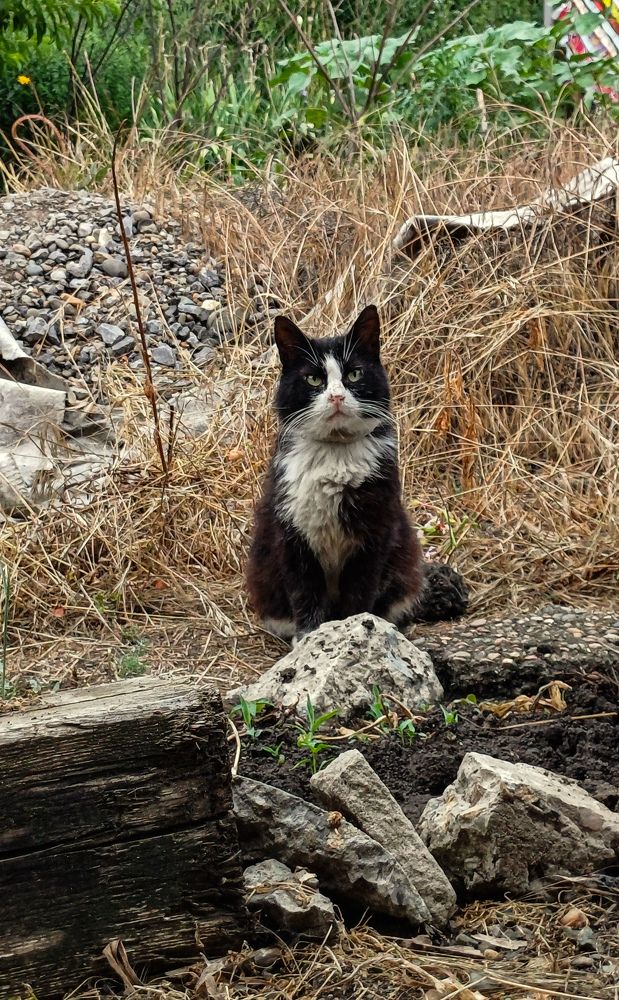 Photograph by Ирина Дмитриенко